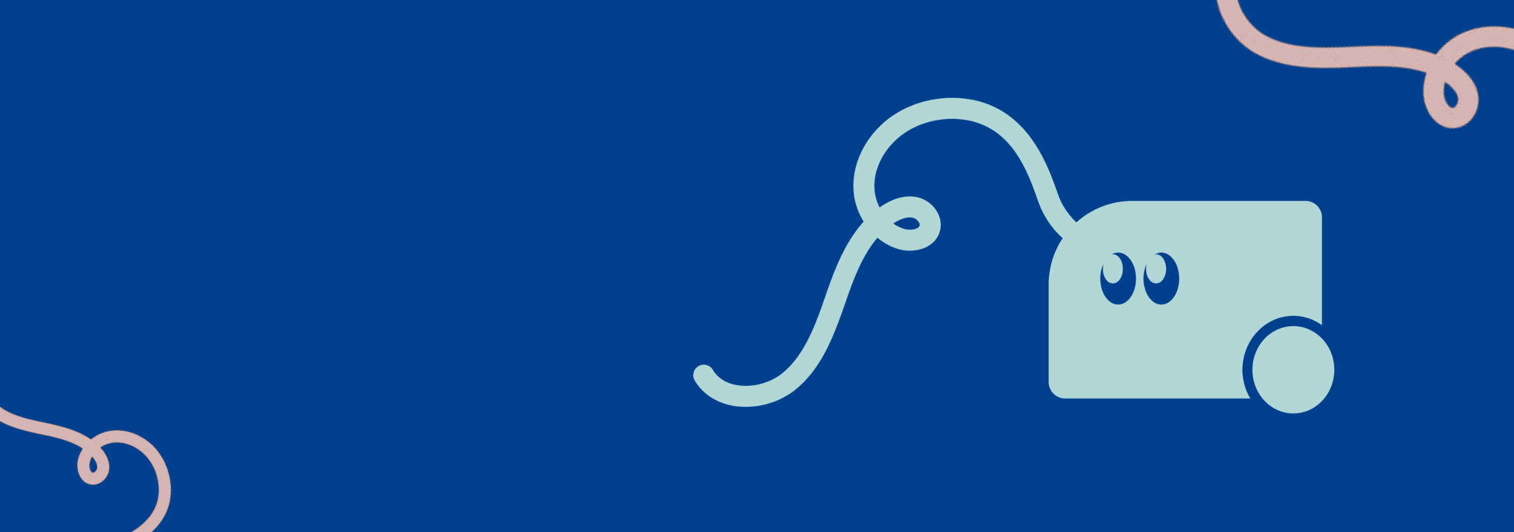 Steam cleaner