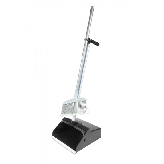 Long handled dust pan with mini broom 